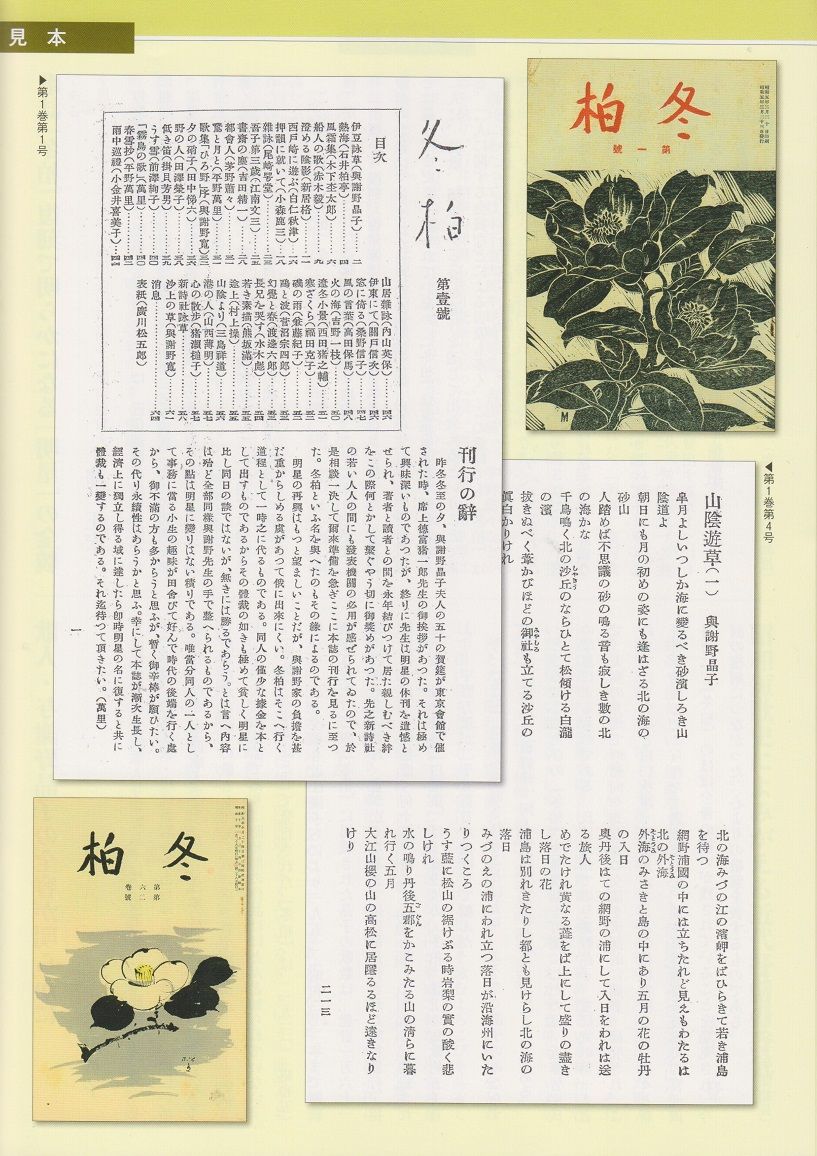 イメージ 6