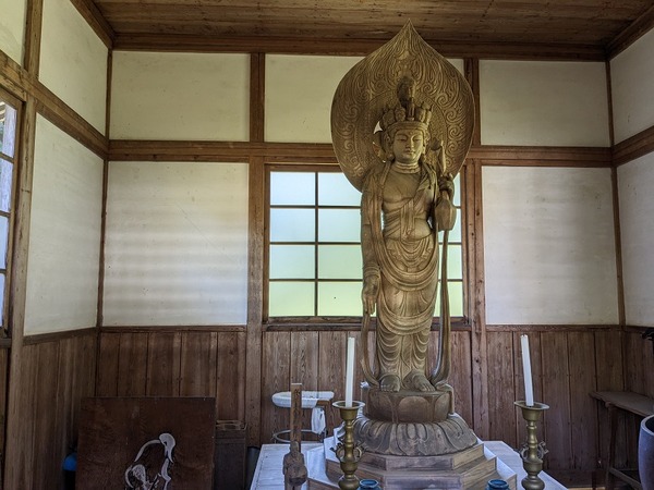 PXL_20230427_051328173