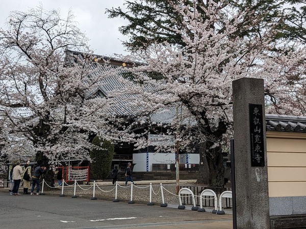 PXL_20240406_030052845