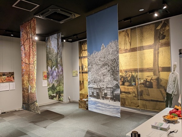 PXL_20221203_041811705