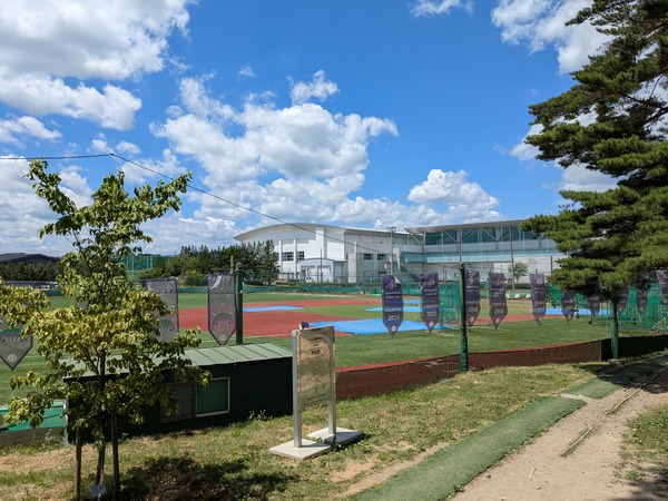 PXL_20250724_021904933