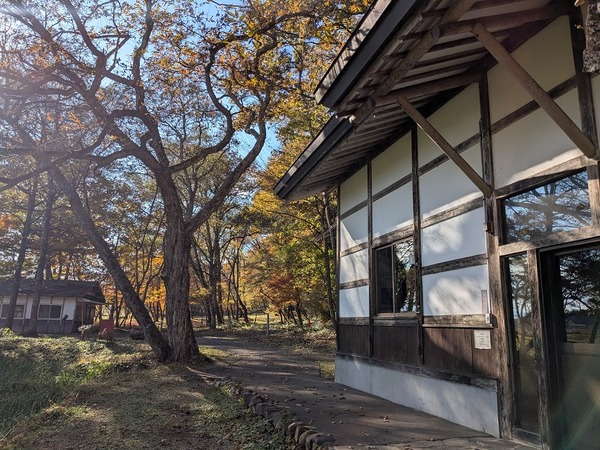 PXL_20251106_041612160