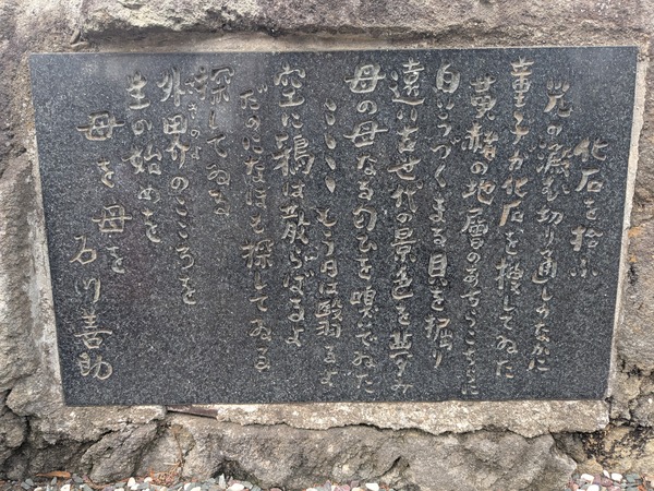 inbound3594370608108170676