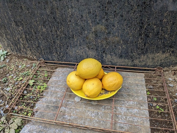 PXL_20230219_024509499