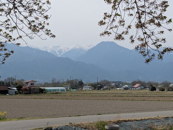 PXL_20250422_043337481