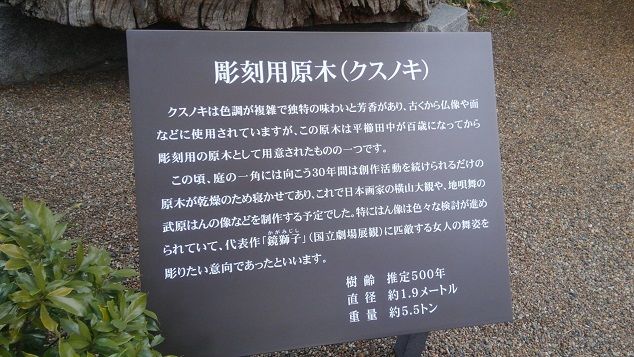 イメージ 16