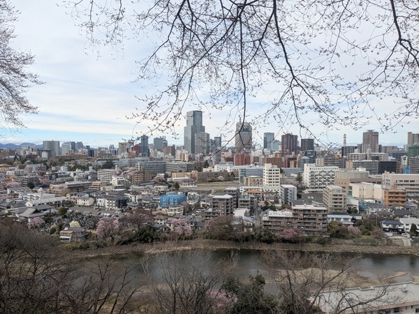 inbound9076814367845388420