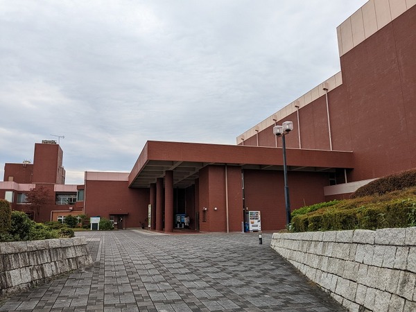 PXL_20221022_033802156