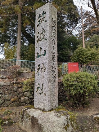 PXL_20250312_013222639