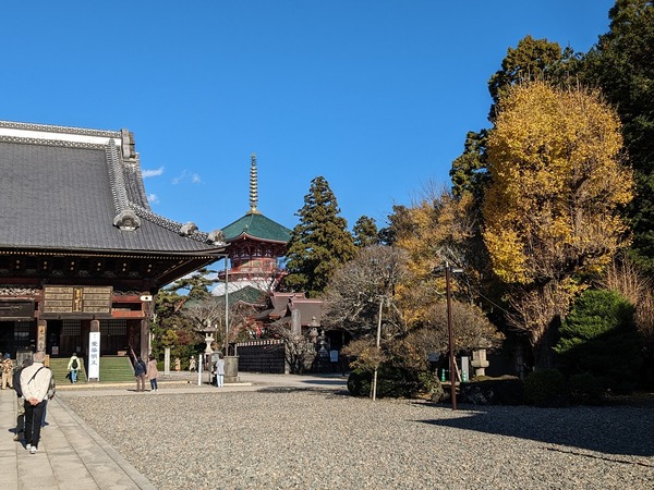 PXL_20231130_042827458