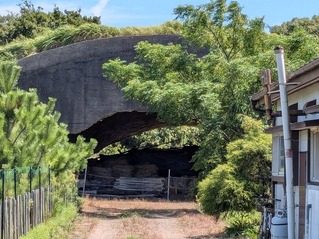 PXL_20250815_020136545