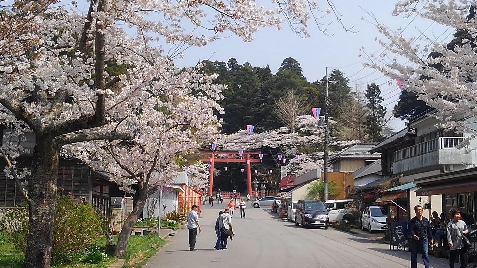 イメージ 3