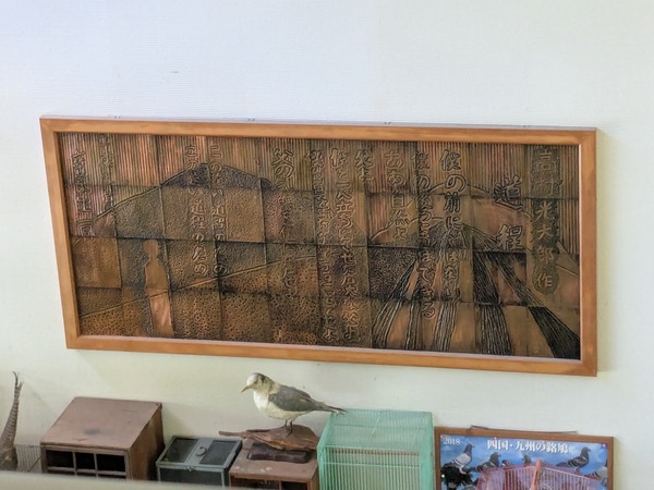 PXL_20250724_013142164