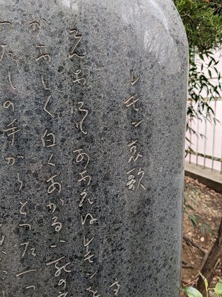 PXL_20230219_024438275