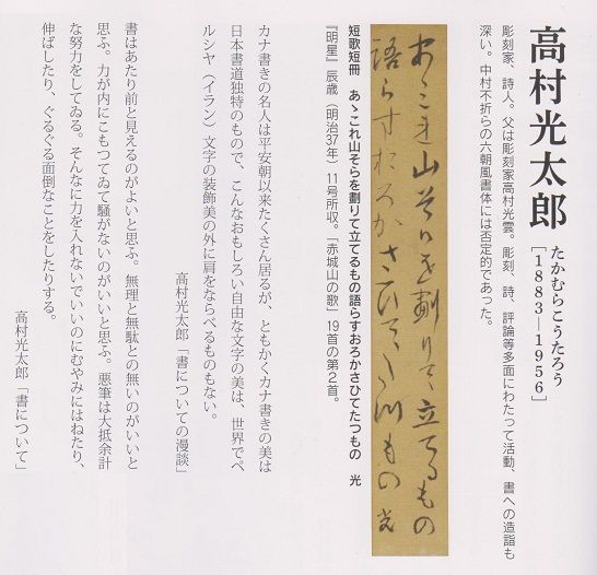 イメージ 7