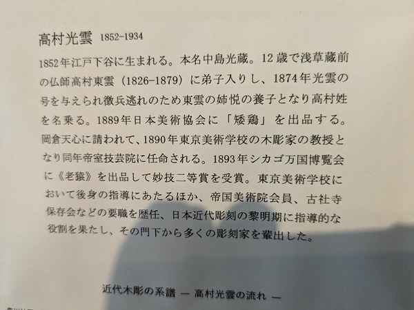 PXL_20240308_045512663