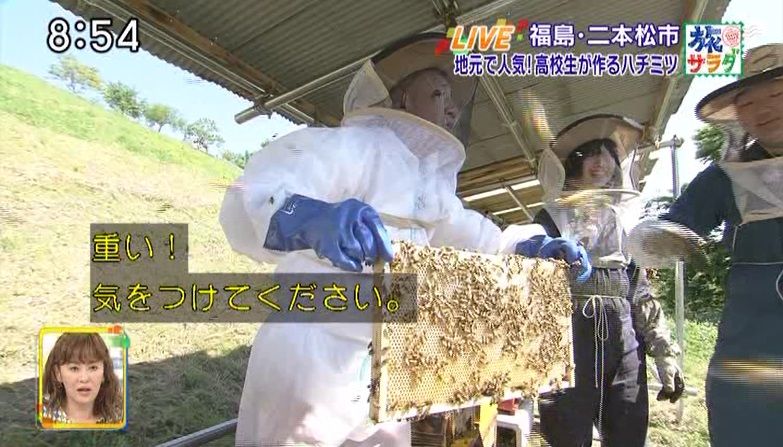 イメージ 6