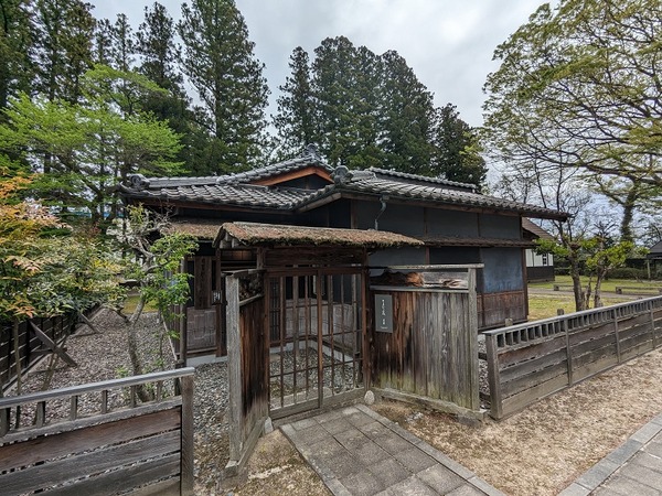 PXL_20240421_013618886