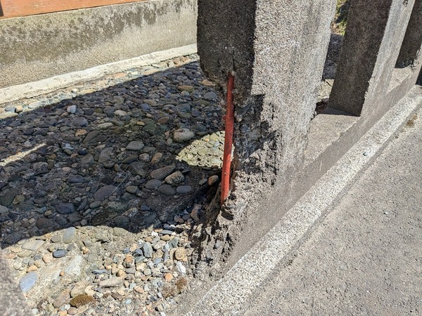 PXL_20250722_044859952