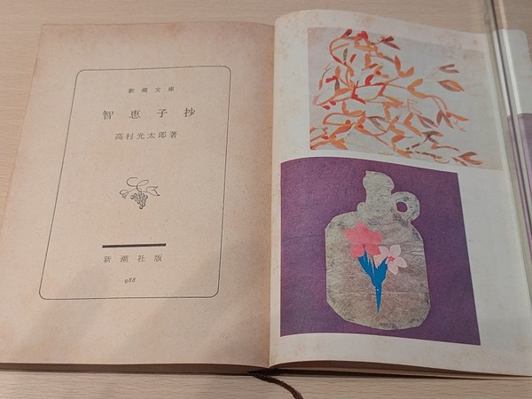 PXL_20260207_134120236