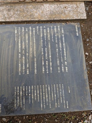 PXL_20230219_024423358