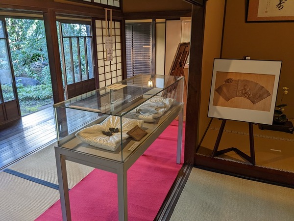 PXL_20221103_024118926