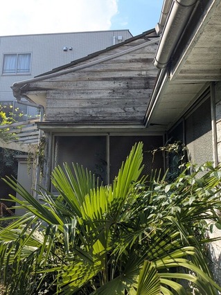 PXL_20250926_052253446