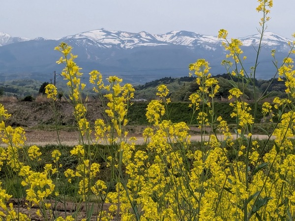 PXL_20250428_000055959