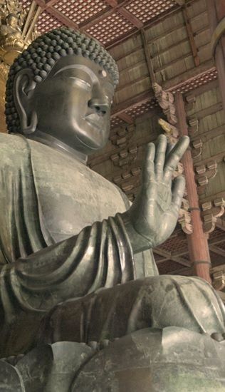 イメージ 8