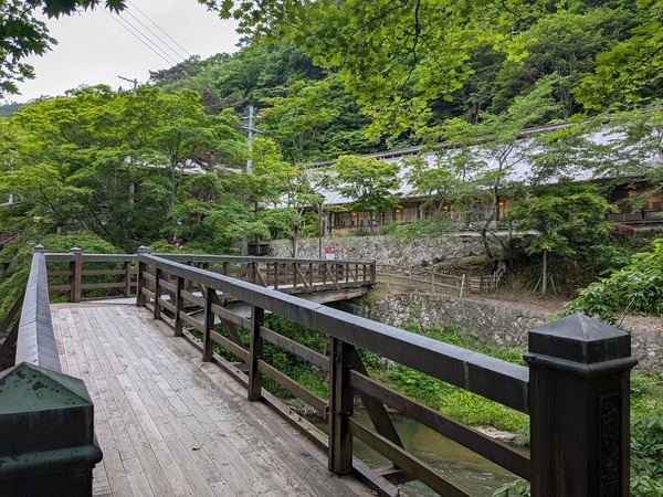 PXL_20250620_232717282