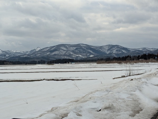 inbound3260158539466318821