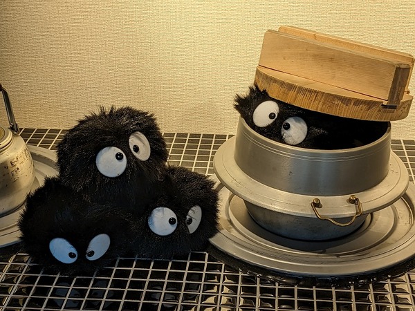 PXL_20230427_065906394