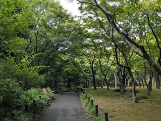 PXL_20250816_050314469