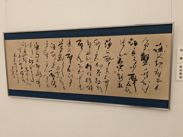 PXL_20230219_012912000