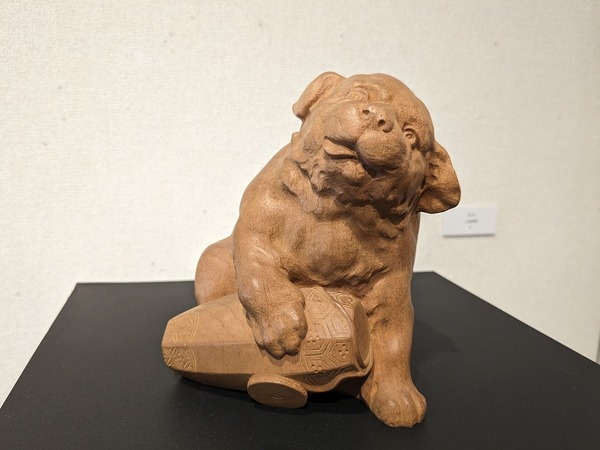 PXL_20240308_045538265