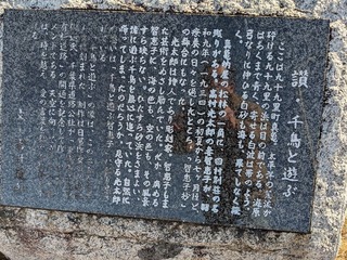 PXL_20260130_024715992