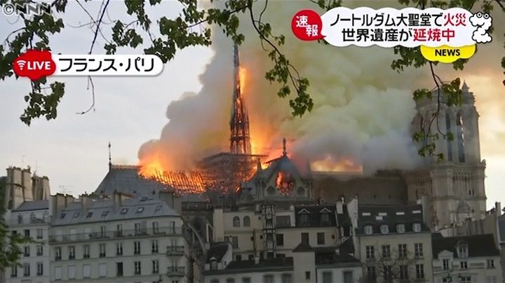 イメージ 6