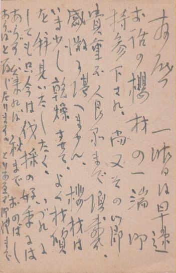 イメージ 8