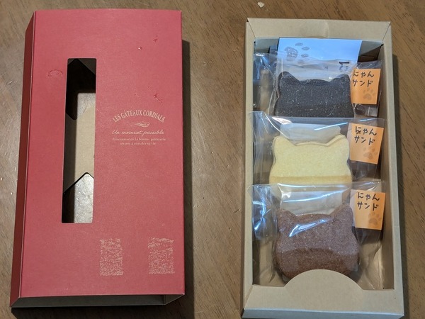 PXL_20260316_223522859[1]