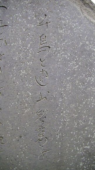 イメージ 12
