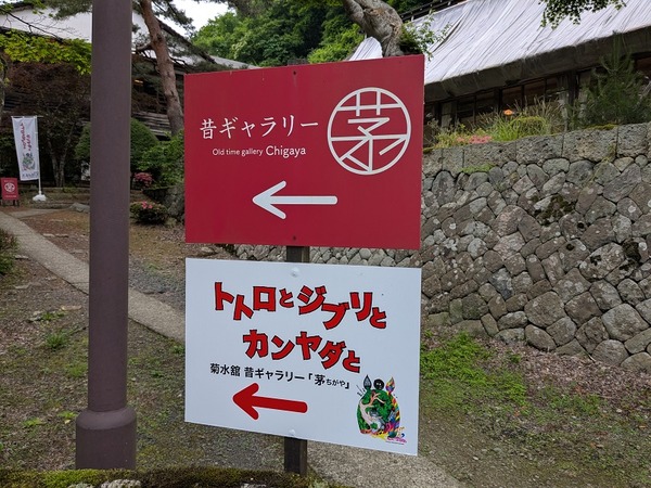 PXL_20250620_232752060