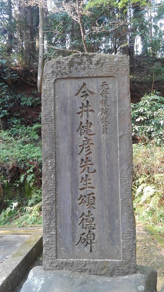 イメージ 7