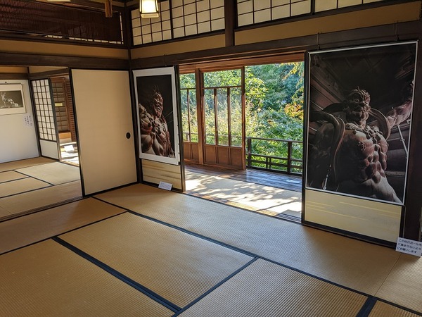 PXL_20221103_023831447