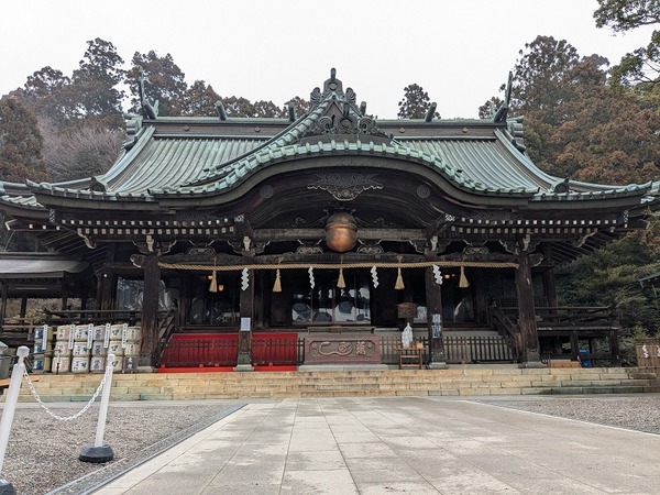 PXL_20250312_011614621