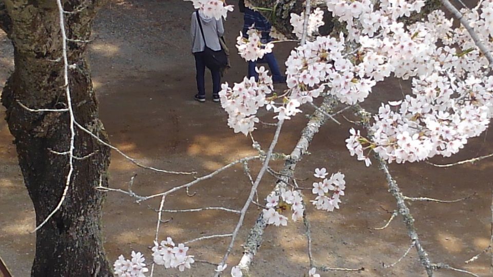 イメージ 25