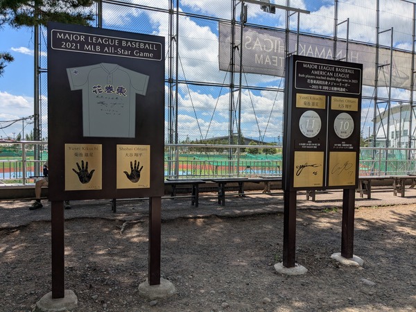 PXL_20250724_021443708.MP