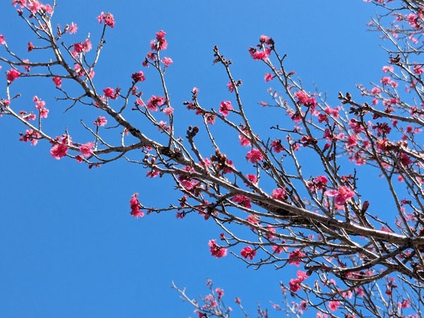 PXL_20240227_020830326