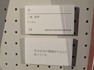 PXL_20260221_050202119