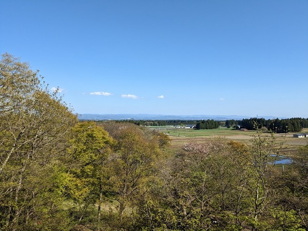 PXL_20230427_053924583