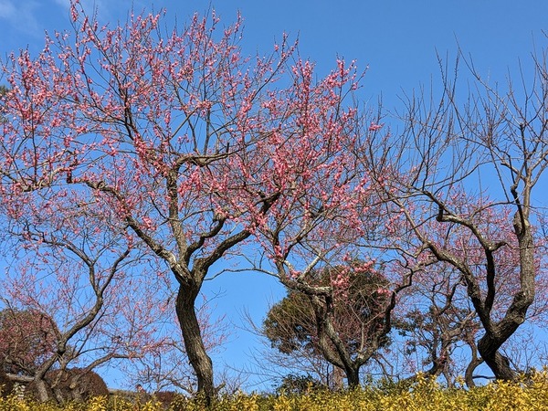 PXL_20230212_012357428